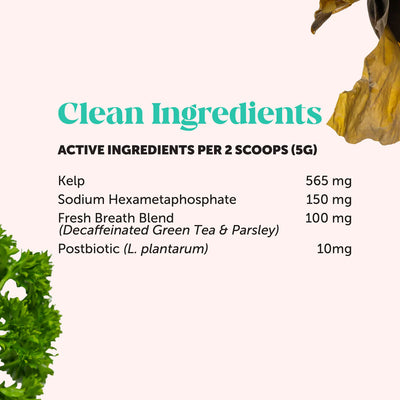 Fresh Breath Dental Powder for Dogs (60 servings)